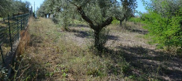 قطعة أرض في Montesilvano, Italy 1872متر مربع رقم 103512 11