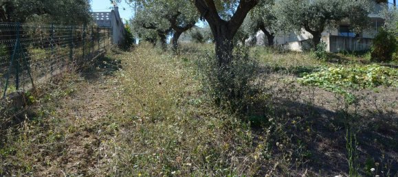 قطعة أرض في Montesilvano, Italy 1872متر مربع رقم 103512 8