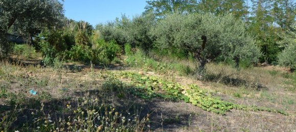 قطعة أرض في Montesilvano, Italy 1872متر مربع رقم 103512 7