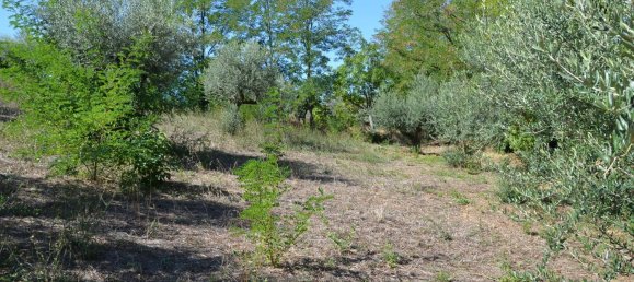 قطعة أرض في Montesilvano, Italy 1872متر مربع رقم 103512 13