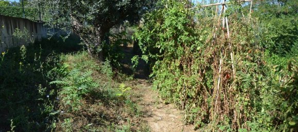 قطعة أرض في Montesilvano, Italy 1872متر مربع رقم 103512 19