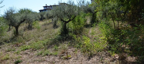 قطعة أرض في Montesilvano, Italy 1872متر مربع رقم 103512 16