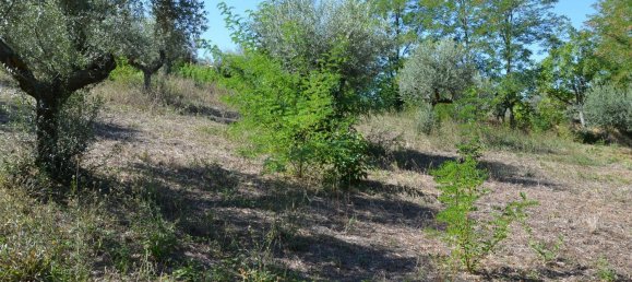 قطعة أرض في Montesilvano, Italy 1872متر مربع رقم 103512 12