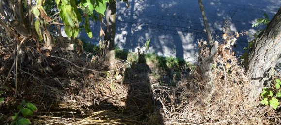 قطعة أرض في Montesilvano, Italy 1872متر مربع رقم 103512 18