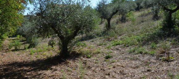 قطعة أرض في Montesilvano, Italy 1872متر مربع رقم 103512 15