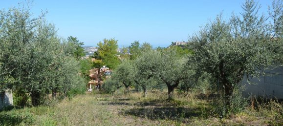 قطعة أرض في Montesilvano, Italy 1872متر مربع رقم 103512 5