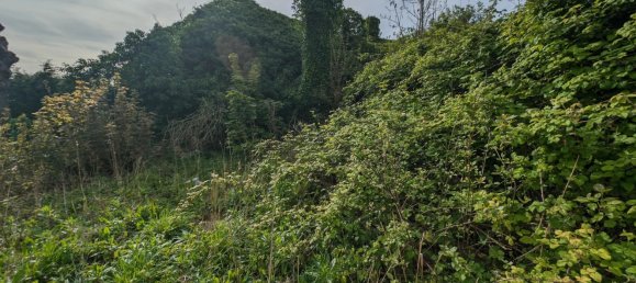 Grundstück in Saint-Folquin, France, Nr. 74879 5