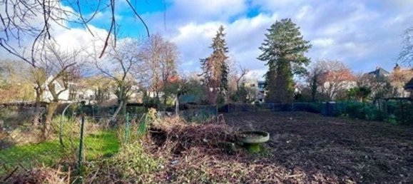 8 bedrooms Townhouse in Lichterfelde, Germany No. 116756 5