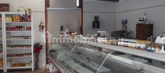 5 rooms Commercial property in Gorizia, Italy No. 270027 5