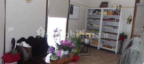 5 rooms Commercial property in Gorizia, Italy No. 270027 6