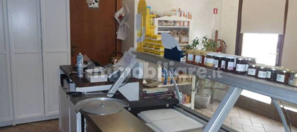 5 rooms Commercial property in Gorizia, Italy No. 270027 7