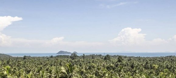 Земельный участок в Сураттхани, Таиланд № 59829 4