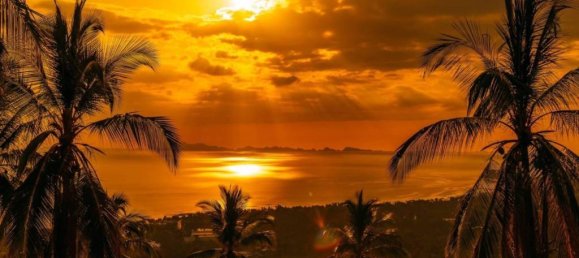 Земельный участок в Сураттхани, Таиланд № 59829 2