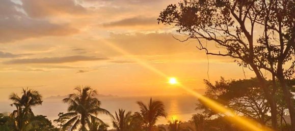 Земельный участок в Сураттхани, Таиланд № 59829 3