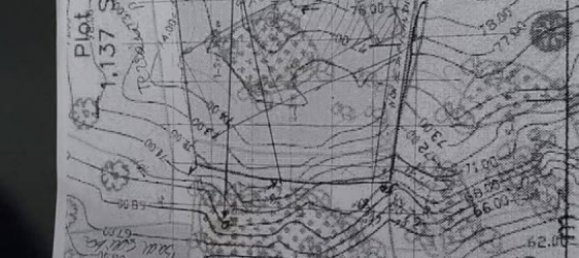Земельный участок в Сураттхани, Таиланд № 59829 8