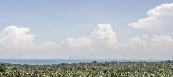 Земельный участок в Сураттхани, Таиланд № 59829 10