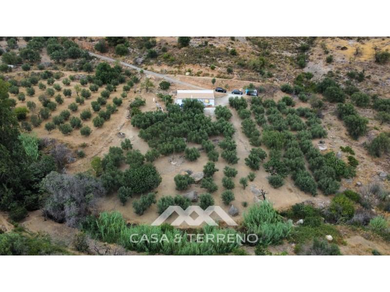 4 غرف نوم منزل في Alcaucin, Spain رقم 51506