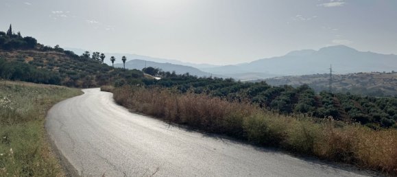  قطعة أرض في Coin, Spain رقم 159681 13