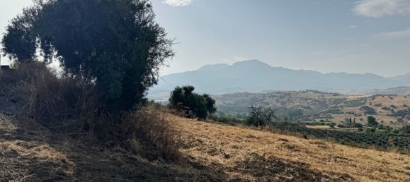  قطعة أرض في Coin, Spain رقم 159681 10