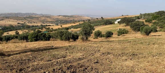  قطعة أرض في Coin, Spain رقم 159681 3