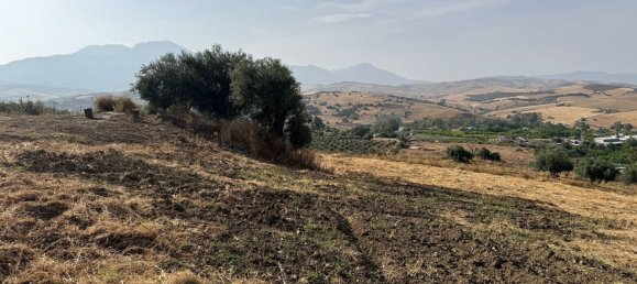  قطعة أرض في Coin, Spain رقم 159681 4