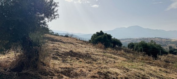  قطعة أرض في Coin, Spain رقم 159681 8