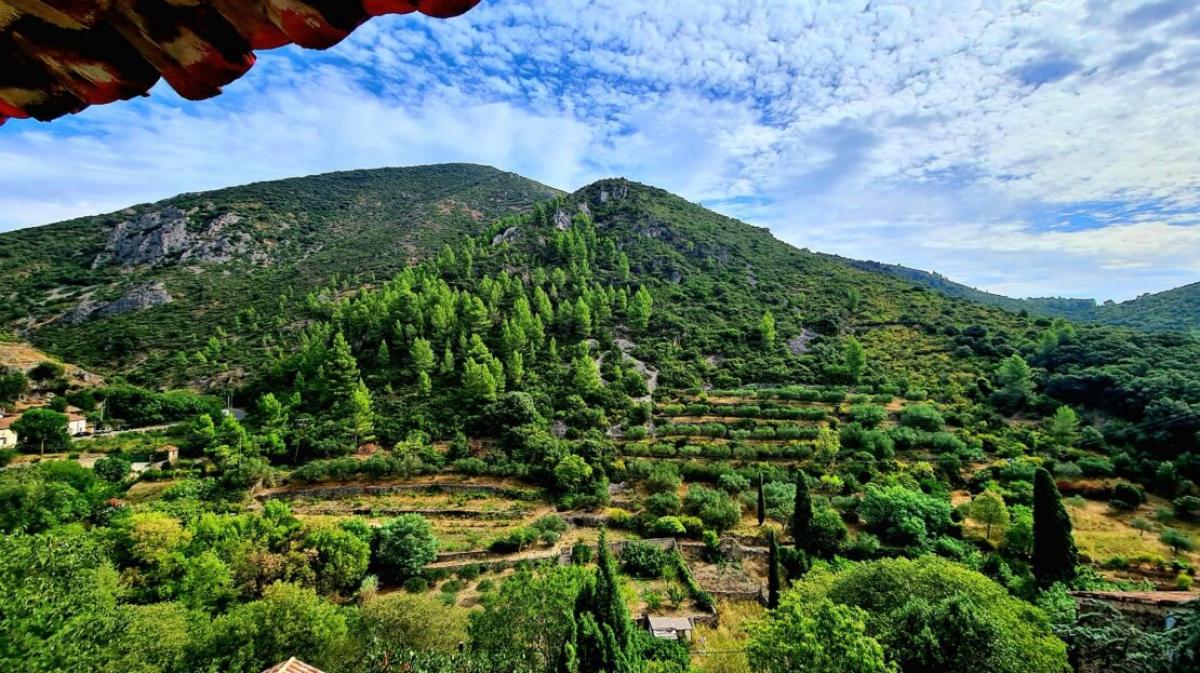 Casa de 3 dormitorios en Roquebrun, France No. 17013