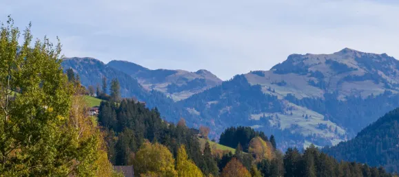 3 غرف نوم منزل في Kirchberg in Tirol, Austria رقم 97909 6