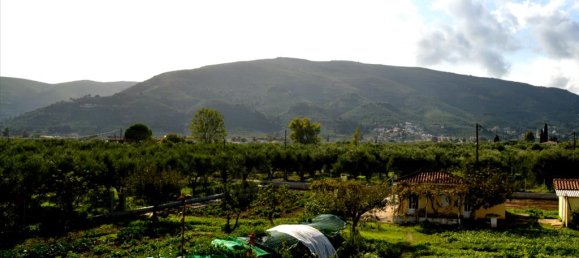 4 bedrooms Villa in Zakynthos, Greece No. 6541 21