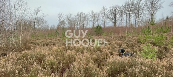 5 bedrooms Land in Lamotte-Beuvron, France No. 243558 5