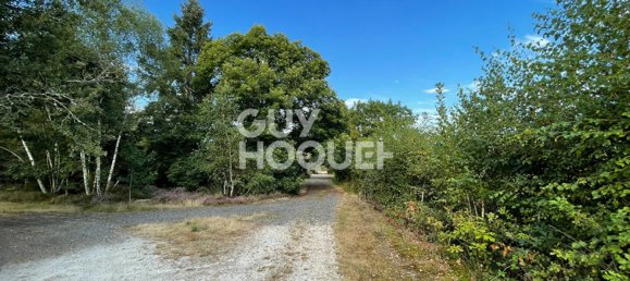 5 bedrooms Land in Lamotte-Beuvron, France No. 243558 3