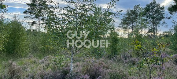 5 bedrooms Land in Lamotte-Beuvron, France No. 243558 2