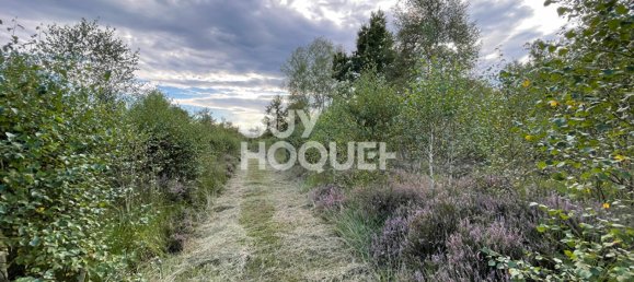 5 bedrooms Land in Lamotte-Beuvron, France No. 243558 18