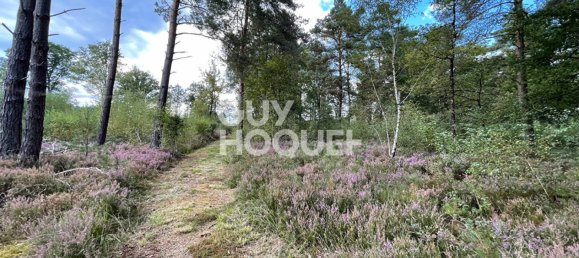5 bedrooms Land in Lamotte-Beuvron, France No. 243558 10