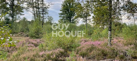 5 bedrooms Land in Lamotte-Beuvron, France No. 243558 8