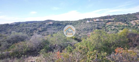 56502m² Land in Sao Bras de Alportel, Portugal No. 86045 23