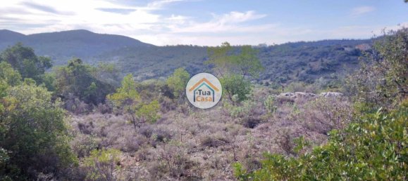 56502m² Land in Sao Bras de Alportel, Portugal No. 86045 5