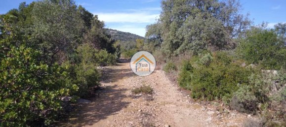 56502m² Land in Sao Bras de Alportel, Portugal No. 86045 24