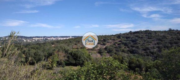56502m² Land in Sao Bras de Alportel, Portugal No. 86045 18
