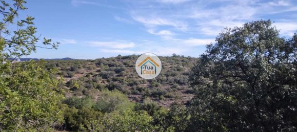 56502m² Land in Sao Bras de Alportel, Portugal No. 86045 17