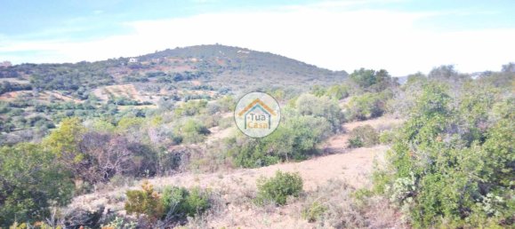 56502m² Land in Sao Bras de Alportel, Portugal No. 86045 15