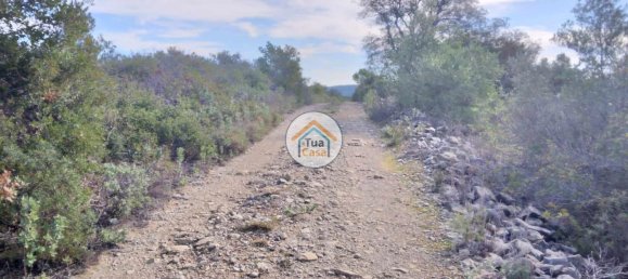 56502m² Land in Sao Bras de Alportel, Portugal No. 86045 11