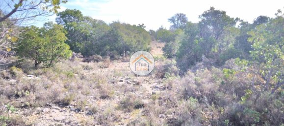 56502m² Land in Sao Bras de Alportel, Portugal No. 86045 22