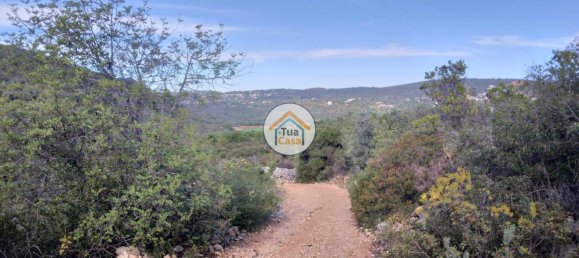 56502m² Land in Sao Bras de Alportel, Portugal No. 86045 14