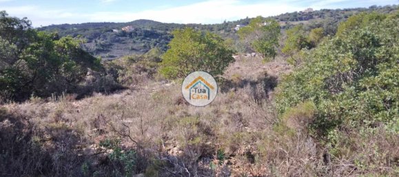 56502m² Land in Sao Bras de Alportel, Portugal No. 86045 16