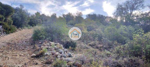 56502m² Land in Sao Bras de Alportel, Portugal No. 86045 26