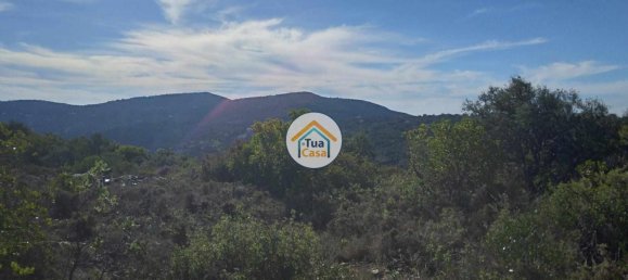 56502m² Land in Sao Bras de Alportel, Portugal No. 86045 10