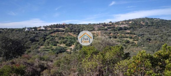 56502m² Land in Sao Bras de Alportel, Portugal No. 86045 19