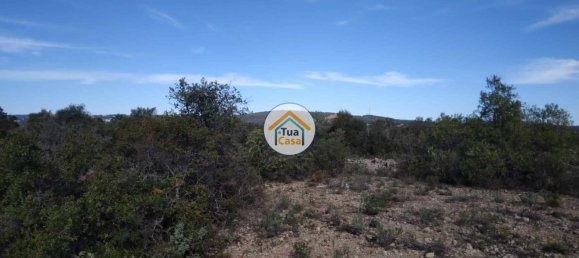 56502m² Land in Sao Bras de Alportel, Portugal No. 86045 7
