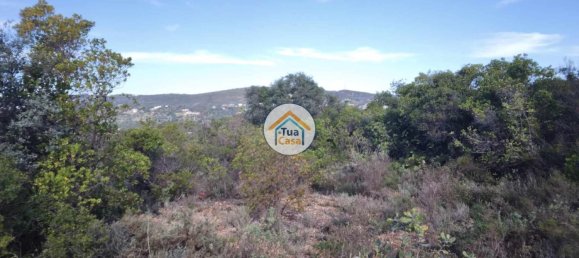 56502m² Land in Sao Bras de Alportel, Portugal No. 86045 3